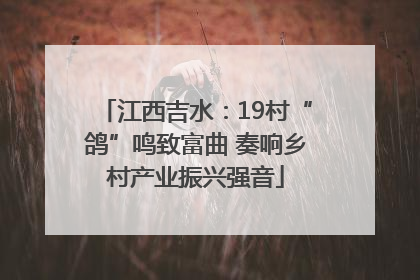 江西吉水：19村“鸽”鸣致富曲 奏响乡村产业振兴强音