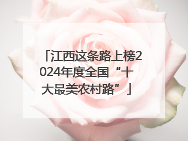 江西这条路上榜2024年度全国“十大最美农村路”
