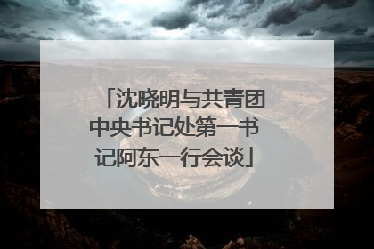 沈晓明与共青团中央书记处第一书记阿东一行会谈