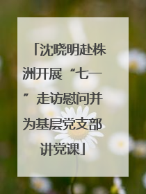 沈晓明赴株洲开展“七一”走访慰问并为基层党支部讲党课