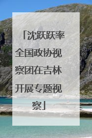 沈跃跃率全国政协视察团在吉林开展专题视察