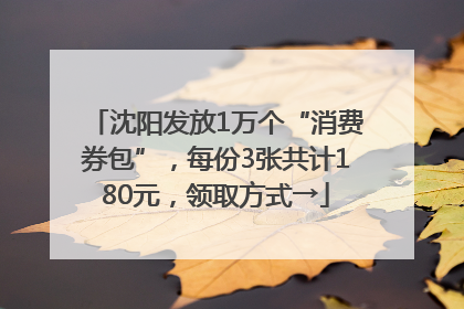 沈阳发放1万个“消费券包”，每份3张共计180元，领取方式→