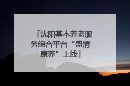 沈阳基本养老服务综合平台“盛情康养”上线