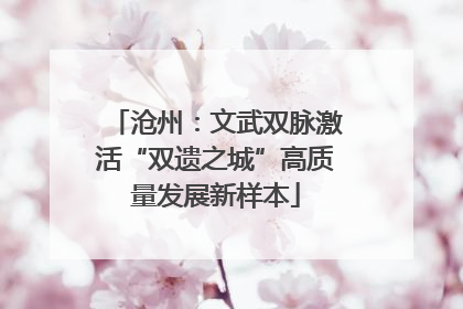 沧州：文武双脉激活“双遗之城”高质量发展新样本