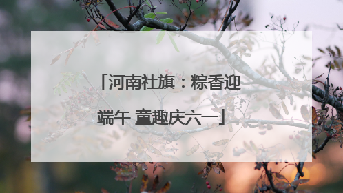 河南社旗：粽香迎端午 童趣庆六一