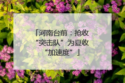 河南台前：抢收“突击队”为夏收“加速度”