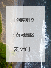 河南巩义：黄河滩区麦收忙