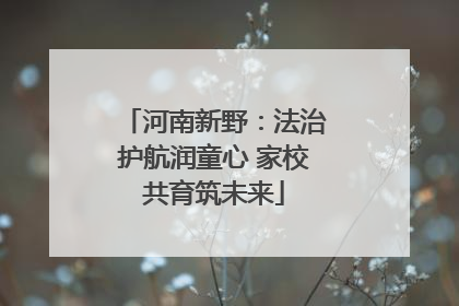 河南新野：法治护航润童心 家校共育筑未来