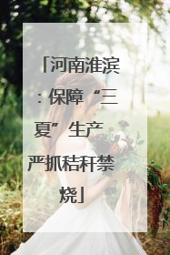 河南淮滨：保障“三夏”生产 严抓秸秆禁烧