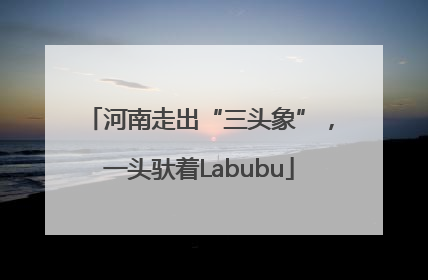河南走出“三头象”，一头驮着Labubu