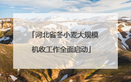 河北省冬小麦大规模机收工作全面启动