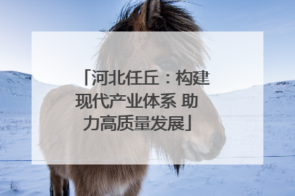 河北任丘：构建现代产业体系 助力高质量发展