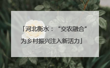 河北衡水：“交农融合”为乡村振兴注入新活力
