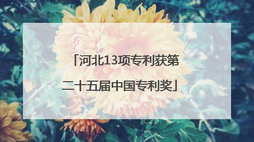 河北13项专利获第二十五届中国专利奖