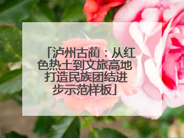 泸州古蔺：从红色热土到文旅高地 打造民族团结进步示范样板