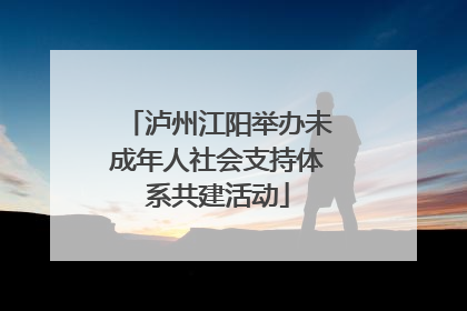泸州江阳举办未成年人社会支持体系共建活动
