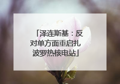 泽连斯基：反对单方面重启扎波罗热核电站