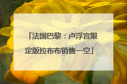 法国巴黎：卢浮宫限定版拉布布销售一空