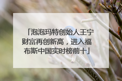 泡泡玛特创始人王宁财富再创新高，进入福布斯中国实时榜前十