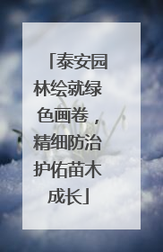 泰安园林绘就绿色画卷，精细防治护佑苗木成长
