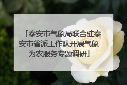 泰安市气象局联合驻泰安市省派工作队开展气象为农服务专题调研