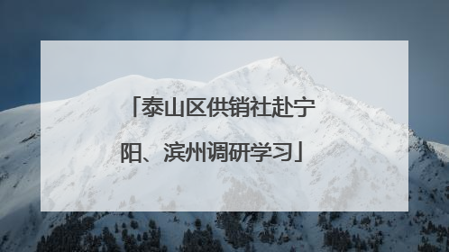 泰山区供销社赴宁阳、滨州调研学习