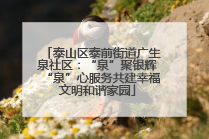 泰山区泰前街道广生泉社区：“泉”聚银辉“泉”心服务共建幸福文明和谐家园