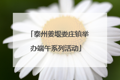 泰州姜堰娄庄镇举办端午系列活动