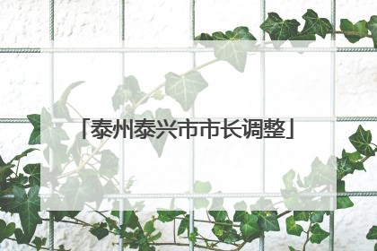 泰州泰兴市市长调整