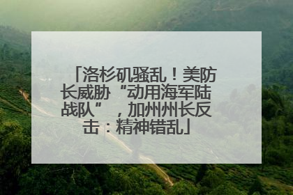 洛杉矶骚乱！美防长威胁“动用海军陆战队”，加州州长反击：精神错乱