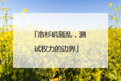 洛杉矶骚乱，测试权力的边界