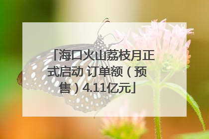 海口火山荔枝月正式启动 订单额（预售）4.11亿元