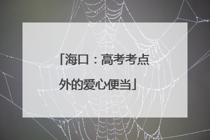 海口：高考考点外的爱心便当