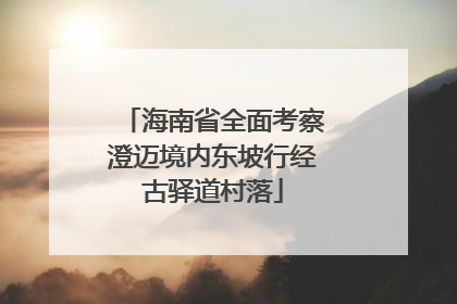 海南省全面考察澄迈境内东坡行经古驿道村落