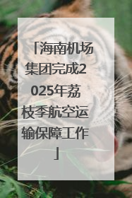 海南机场集团完成2025年荔枝季航空运输保障工作