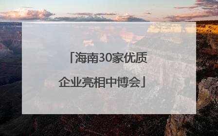 海南30家优质企业亮相中博会