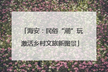 海安：民俗“潮”玩激活乡村文旅新图景