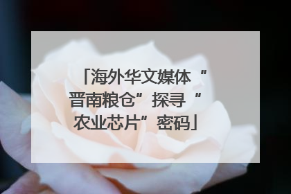 海外华文媒体“晋南粮仓”探寻“农业芯片”密码