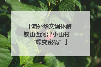 海外华文媒体解锁山西河津小山村“蝶变密码”