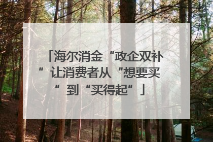 海尔消金“政企双补”让消费者从“想要买”到“买得起”