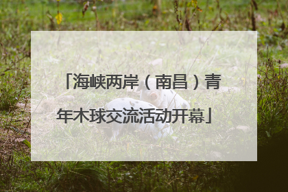海峡两岸（南昌）青年木球交流活动开幕