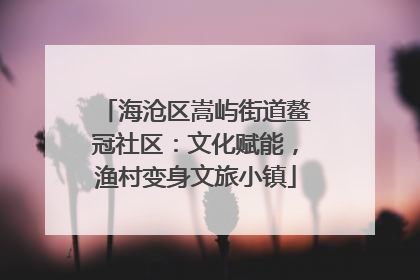 海沧区嵩屿街道鳌冠社区：文化赋能，渔村变身文旅小镇