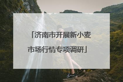 济南市开展新小麦市场行情专项调研