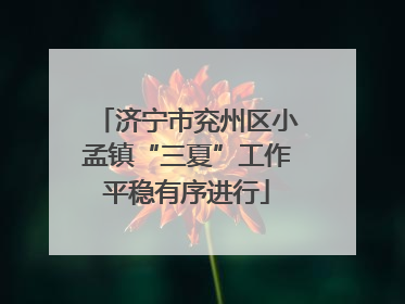 济宁市兖州区小孟镇“三夏”工作平稳有序进行