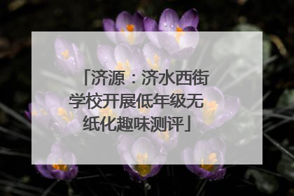 济源：济水西街学校开展低年级无纸化趣味测评