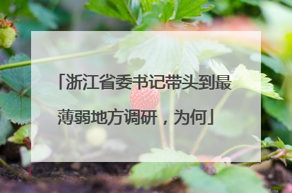 浙江省委书记带头到最薄弱地方调研，为何