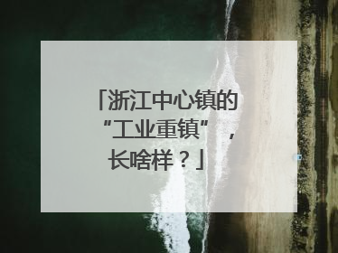 浙江中心镇的“工业重镇”，长啥样？