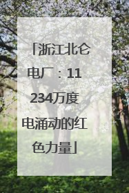 浙江北仑电厂：11234万度电涌动的红色力量