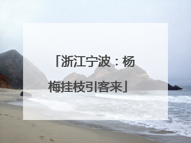 浙江宁波：杨梅挂枝引客来