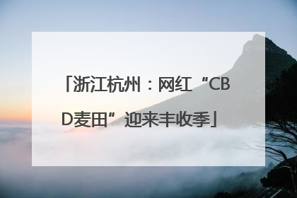 浙江杭州：网红“CBD麦田”迎来丰收季